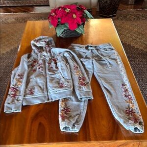 Driftwood Gray cotton knit Embroidered Hoodie and Joggers Set, small